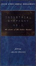 Industrial Symphony No. 1: The Dream of the Broken Hearted