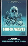 Shock Waves